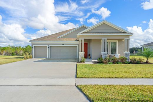 Mount Dora, Lake Countyの一戸建て住宅