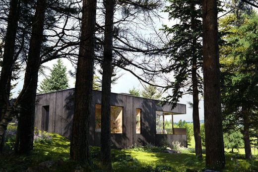 地皮  Wilson, Teton County