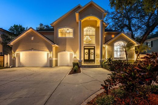 Vrijstaand huis in Tampa, Hillsborough County