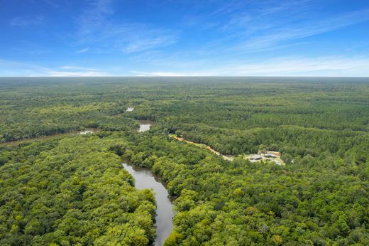 Land in Bruce, Walton County