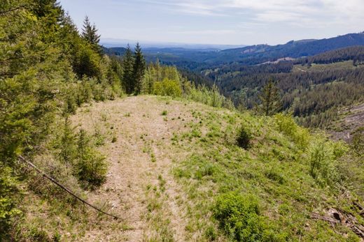 Terreno en Washougal, Clark County