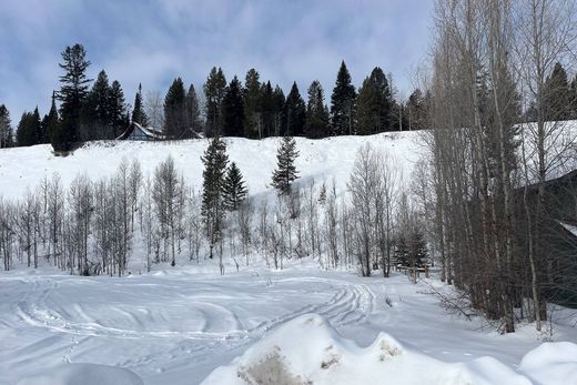 Teren w Wilson, Teton County