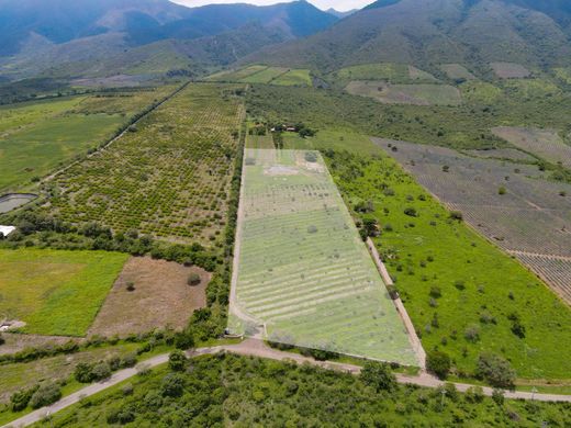 Ixtlahuacán de los Membrillos, ハリスコ州の土地