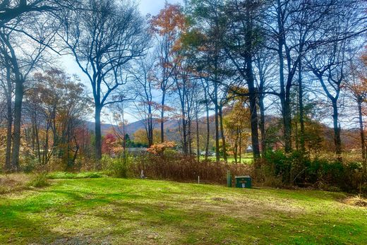 Arsa Banner Elk, Avery County