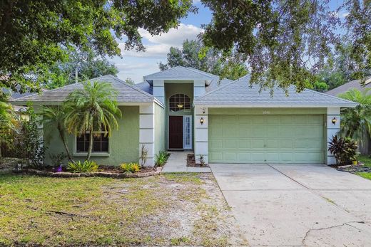 Maison individuelle à Tampa, Comté de Hillsborough