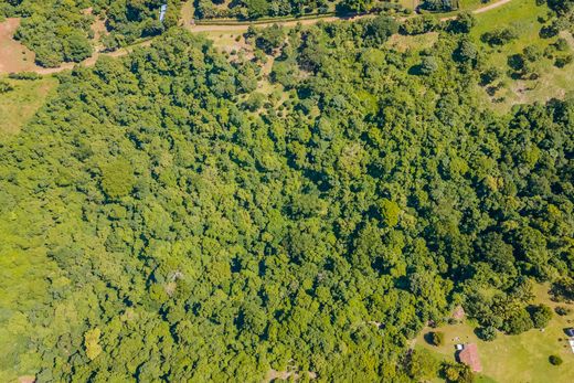 Grundstück in Garabito, Provincia de San José