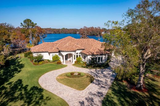 Detached House in Odessa, Pasco County