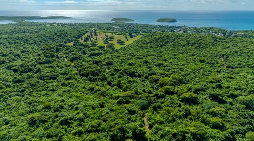 Arsa Vieques, Vieques Municipality