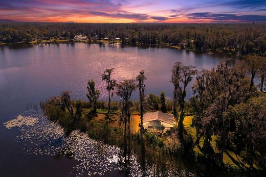 Detached House in Lutz, Hillsborough County