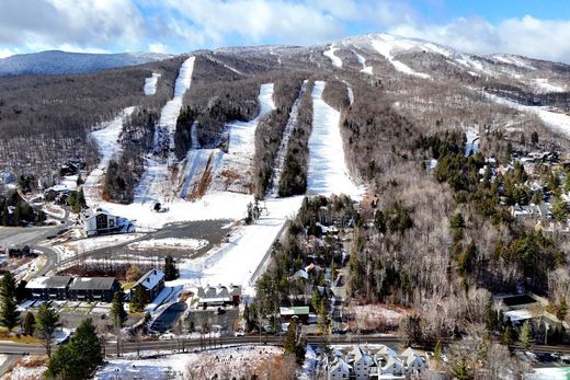 Maison de luxe à Dover, Comté de Windham