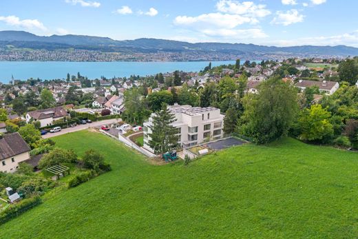 Apartment in Herrliberg, Bezirk Meilen