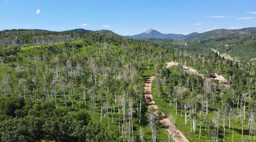 地皮  Clark, Routt County