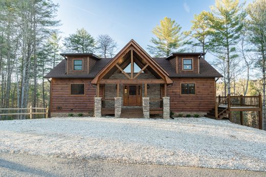 단독 저택 / Mineral Bluff, Fannin County