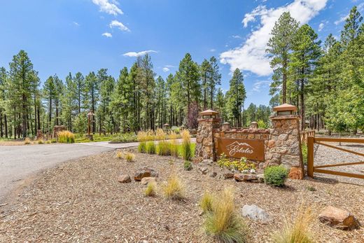 Terreno - Flagstaff, Coconino County