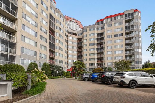 ﺷﻘﺔ ﻓﻲ White Plains, Westchester County