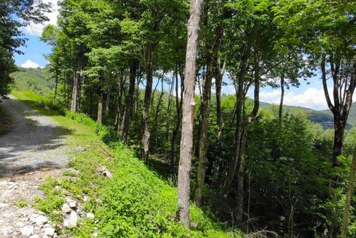 토지 / Linville, Avery County