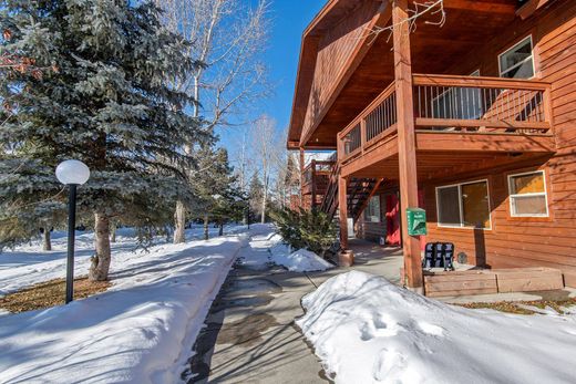 Apartment in Victor, Teton County