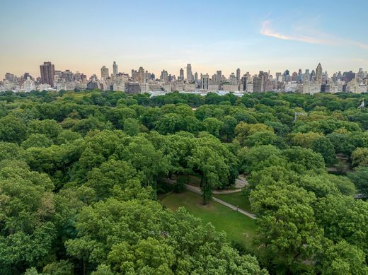 Casa de lujo en Nueva York