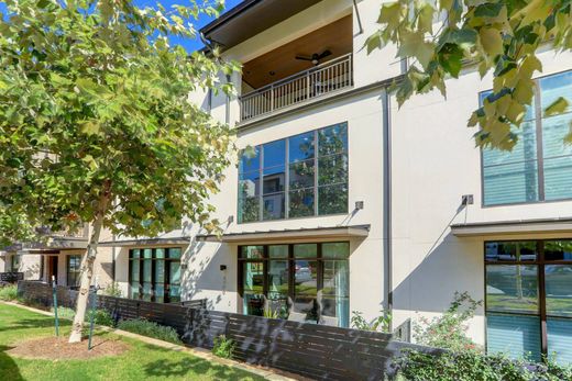 ﺷﻘﺔ ﻓﻲ أوستن، تكساس, Travis County