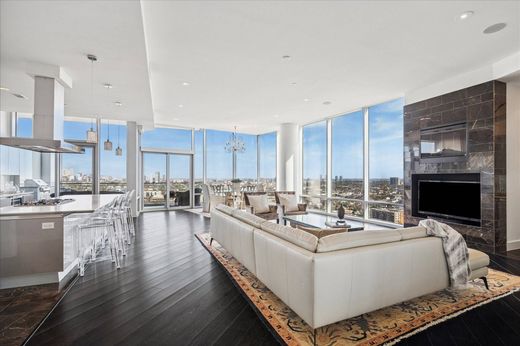 Daire Houston, Harris County