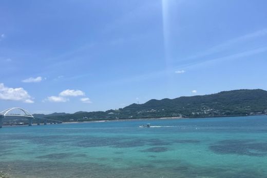 Land in Kunigami, Okinawa