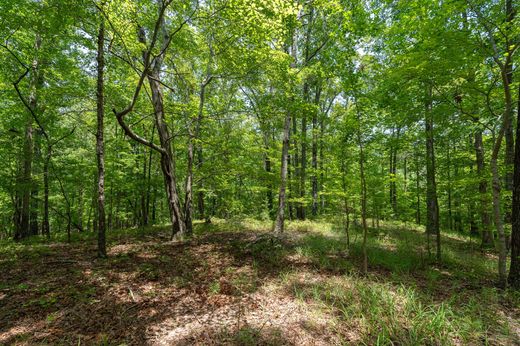 Land in Shoal Creek, Shelby County