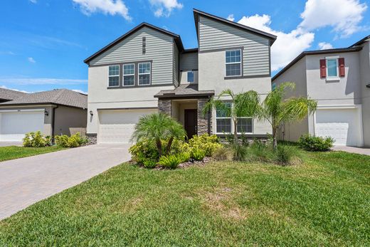 Detached House in Lutz, Hillsborough County