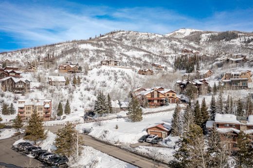 Steamboat Springs, Routt Countyの高級住宅