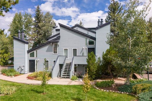 Appartamento a Steamboat Springs, Routt County