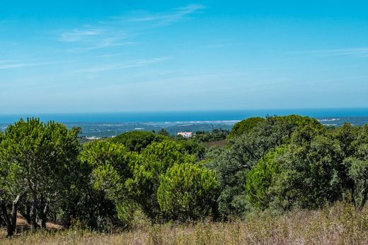 Land in Santiago do Cacém, Distrito de Setúbal