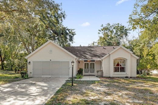 Vrijstaand huis in Lady Lake, Lake County