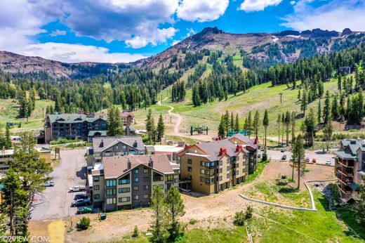 Apartment / Etagenwohnung in Kirkwood, Alpine County