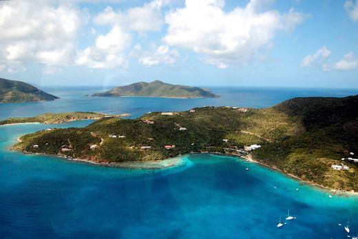 地皮  Great Camanoe