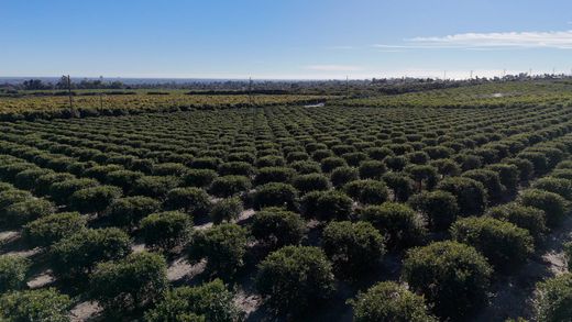 Grond in Ventura, Ventura County