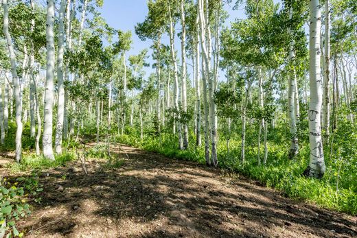 Terreno en Midway, Wasatch County