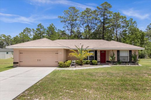 Casa en Ocklawaha, Marion County