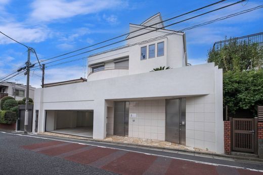 Detached House in Tokyo, Tokyo Prefecture