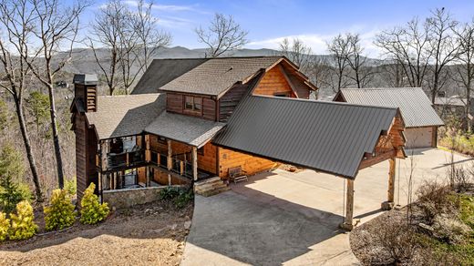 단독 저택 / Blue Ridge, Fannin County