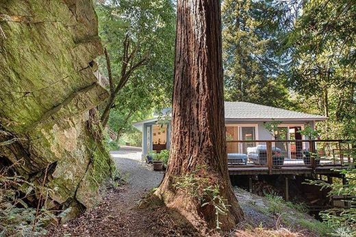 Detached House in Camp Meeker, Sonoma County