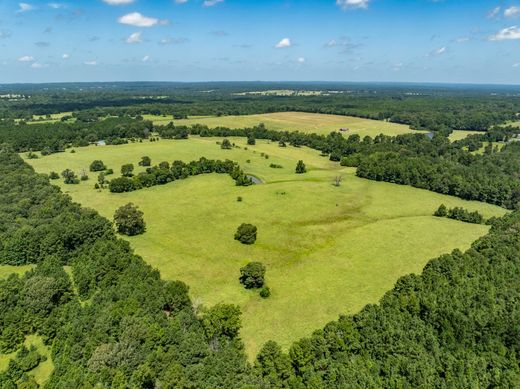 Casa de campo en Palestine, Anderson County
