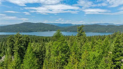 Arsa Whitefish, Flathead County