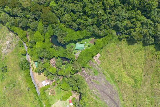 Guápiles, Pococíの土地