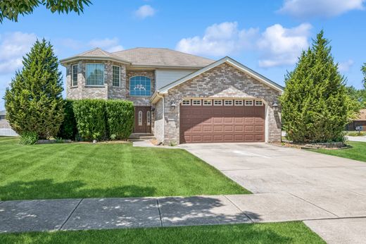 Detached House in Monee, Will County