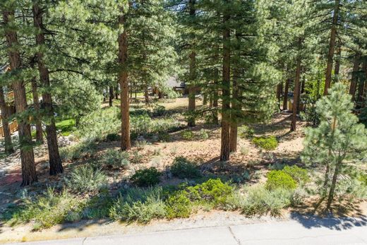 Arsa Reno, Washoe County