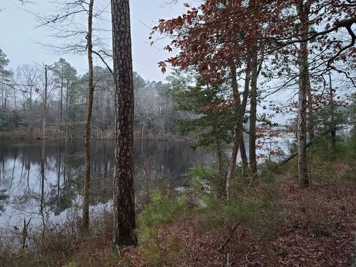 Land in New Church, Accomack County