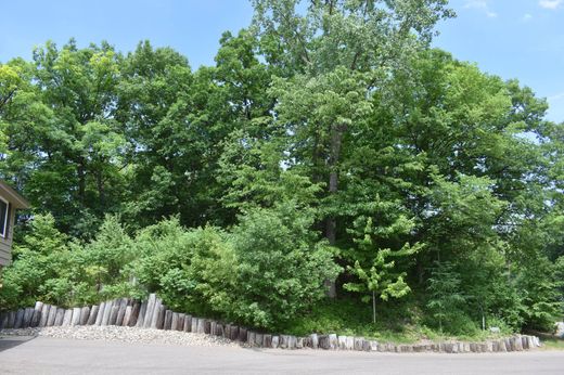 토지 / Minnetonka, Hennepin County