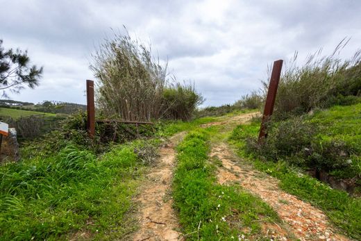 Land in Mafra, Lisbon