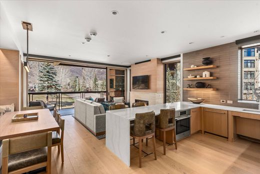 Apartment in Snowmass Village, Pitkin County