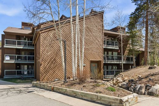 Apartament w Dillon, Summit County
