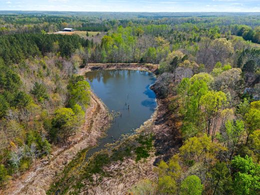 Terrain à Gray Court, Comté de Laurens
